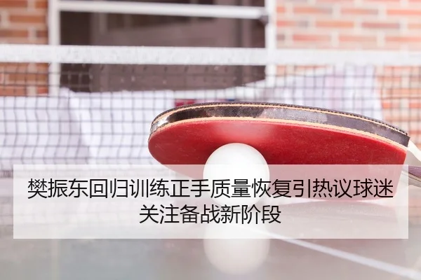 樊振东回归训练正手质量恢复引热议球迷关注备战新阶段（FBSPORTS）